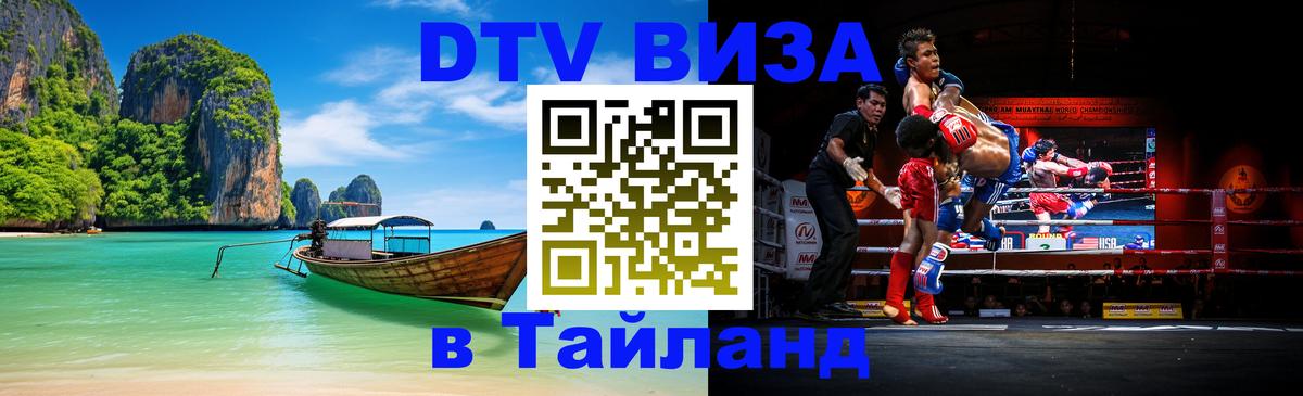 Оформление DTV визы под ключ: стоимость и тарифы, только загранпаспорт - 20.11.2025 